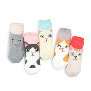 Odd eye kitten tabby cat socks (5 pairs) IR15 - intypesocks
