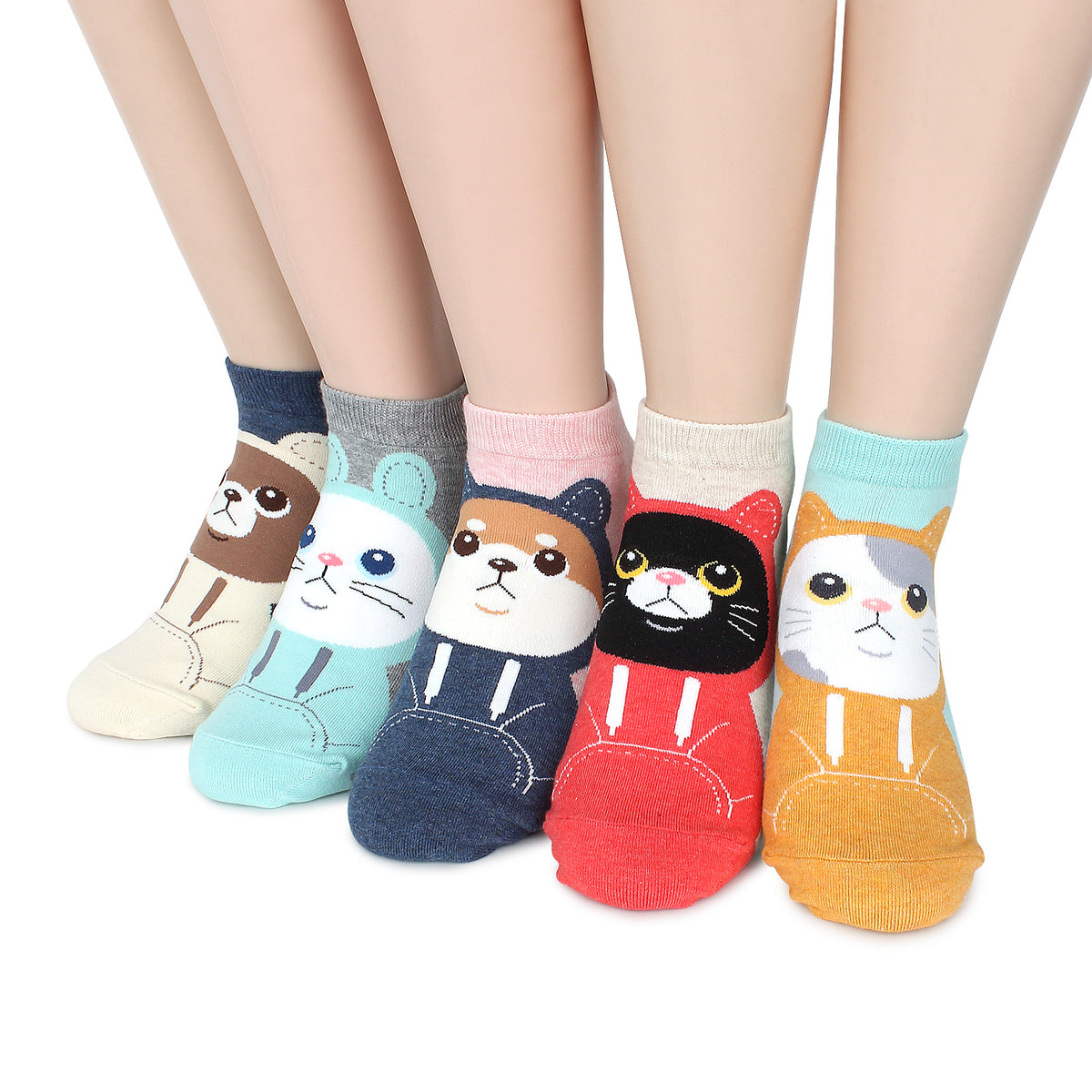 Cat in a hoodie funny kitten socks (5 Pairs) JD15 – intypesocks