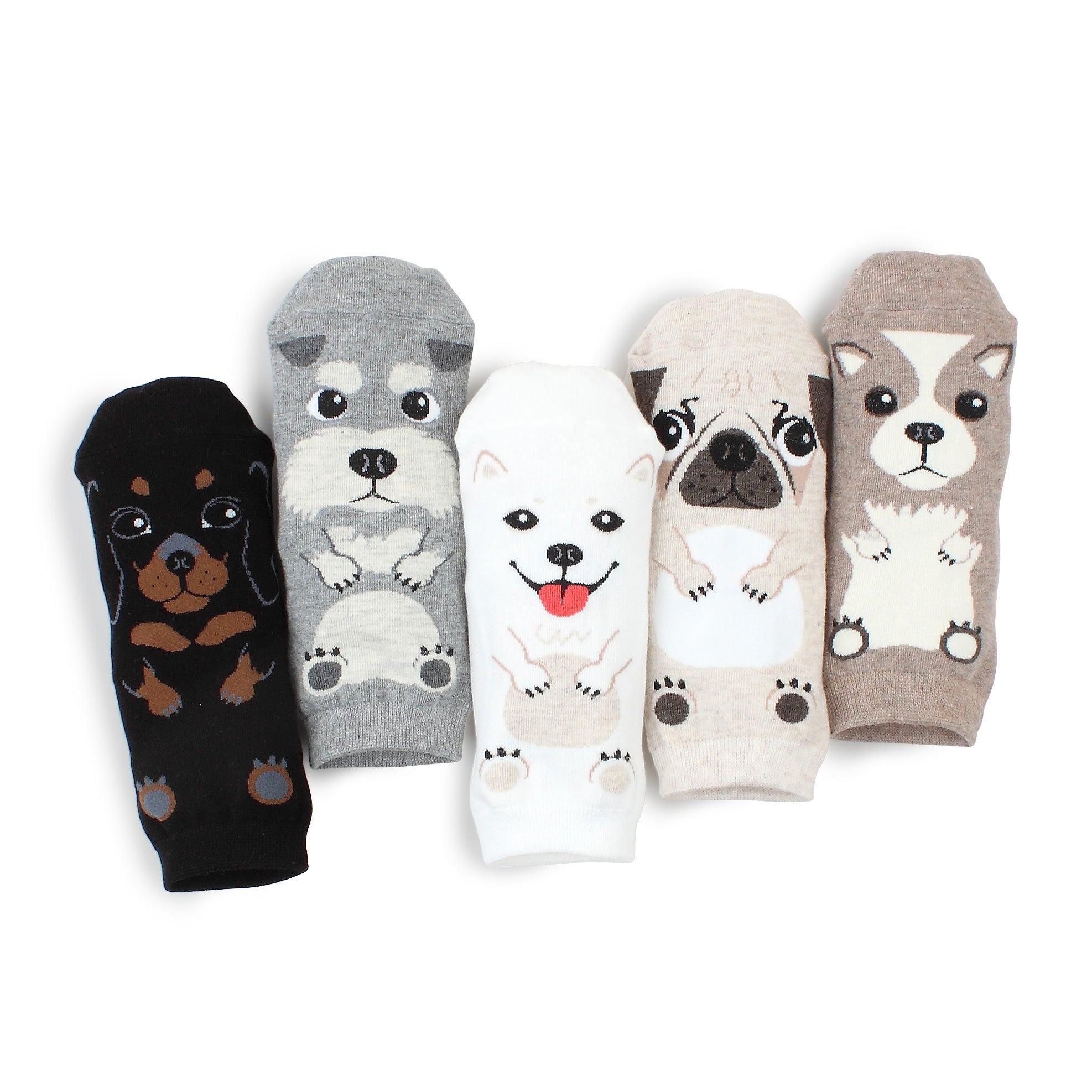(5 pairs) Women's Puppy Face Socks WH15 - intypesocks